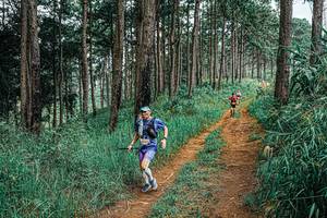 BIB: 
                            <button type="button" onclick="openModal(25703396)" class="btn btn-primary btn-sm float-right btn-popup" data-toggle="modal" data-target=".modal-high-quality">
                        <i class="fas fa-shopping-cart"></i> Add to Cart
                    </button>
                                            <button type="button" onclick="isThisMe(25703396, true)" class="btn btn-success btn-sm float-right btn-popup btn-isme hidden" data-toggle="tooltip" data-placement="bottom" title="นี่คือรูปของคุณใช่ไหม คลิกที่นี่เพื่อเอาเข้าอัลบั้ม">
                        <i class="fas fa-plus"></i> Add to album
                    </button>
                    <button type="button" onclick="isThisMe(25703396, false)" class="btn btn-warning btn-sm float-right btn-popup btn-isnotme hidden">
                        <i class="fas fa-ban"></i> Remove from album
                    </button>